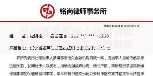 苏州哪里有站小巷的贷款机构？正规借款渠道解析