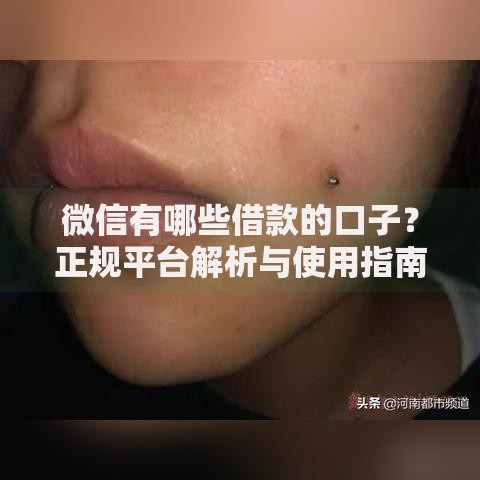 微信有哪些借款的口子？正规平台解析与使用指南