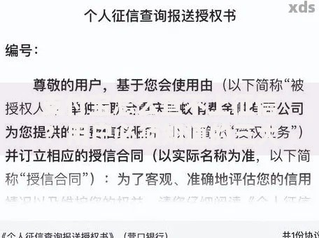 支付宝怎么查不上征信？用户必须知道的三大核心原因