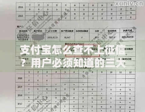 支付宝怎么查不上征信？用户必须知道的三大核心原因