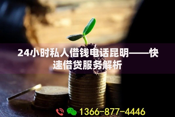 24小时私人借钱电话昆明——快速借贷服务解析
