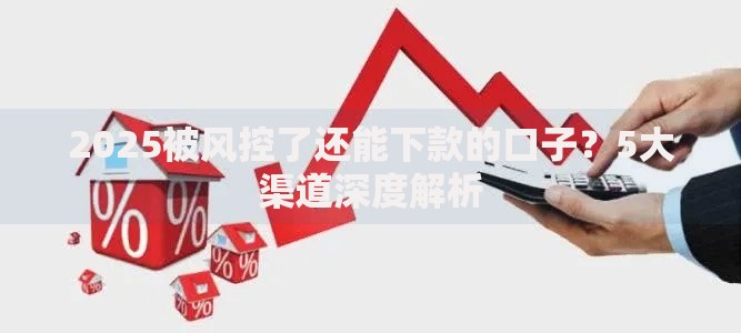 2025被风控了还能下款的口子？5大渠道深度解析