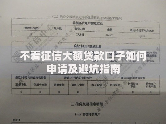 不看征信大额贷款口子如何申请及避坑指南