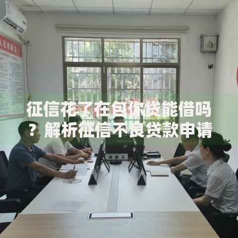 征信花了在包你贷能借吗？解析征信不良贷款申请攻略