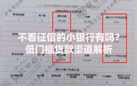 不看征信的小银行有吗？低门槛贷款渠道解析