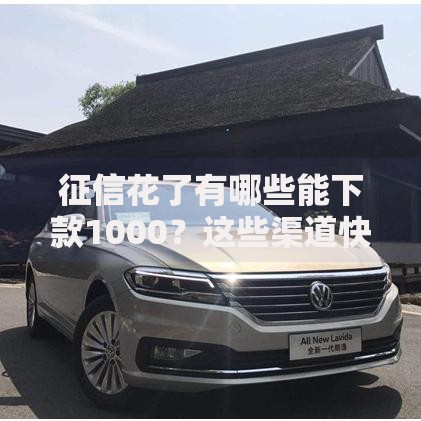 征信花了有哪些能下款1000？这些渠道快速到账