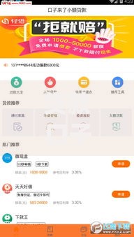 贷款口子网址大全app如何筛选正规平台