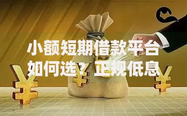 小额短期借款平台如何选？正规低息渠道全解析