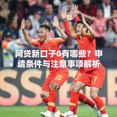 网贷新口子0有哪些？申请条件与注意事项解析