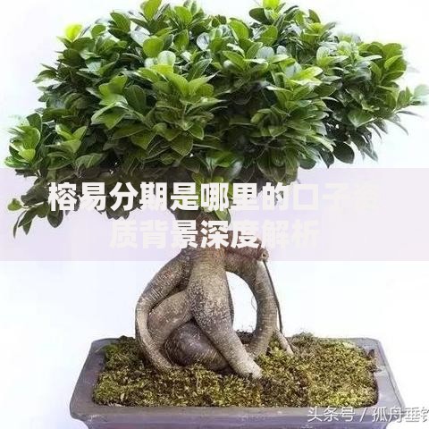 榕易分期是哪里的口子资质背景深度解析