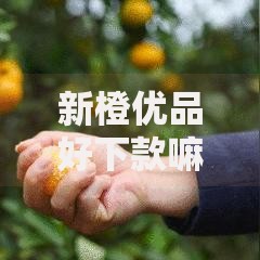 新橙优品好下款嘛？真实审核流程与下款攻略解析