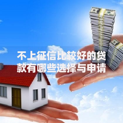 不上征信比较好的贷款有哪些选择与申请条件