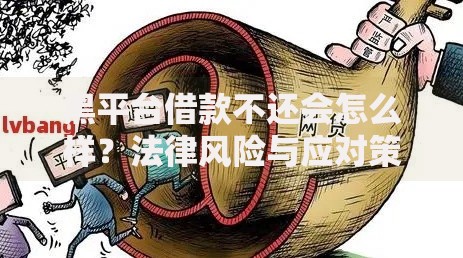 黑平台借款不还会怎么样？法律风险与应对策略解析