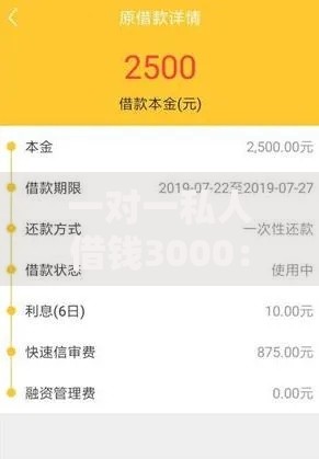 一对一私人借钱3000：安全借款方案与注意事项详解