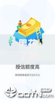 黑花了新口子借款平台：正规渠道解析与风险防范指南