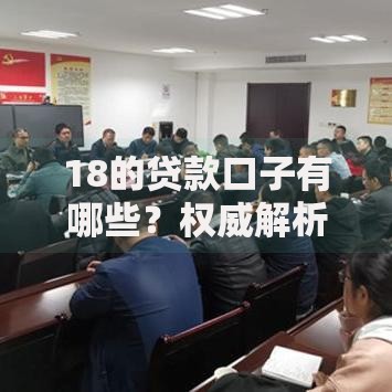 18的贷款口子有哪些？权威解析与申请攻略