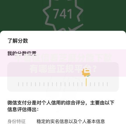 不看征信看芝麻分能下款有哪些正规平台？