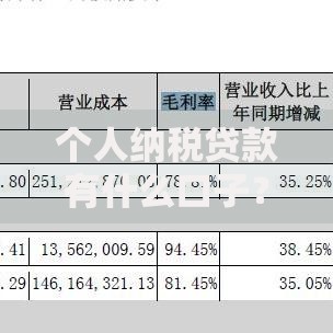个人纳税贷款有什么口子？正规渠道与申请流程解析