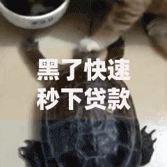 黑了快速秒下贷款新口子如何避免资金风险？