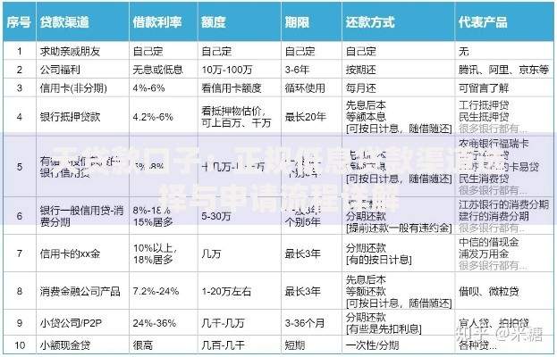 天贷款口子：正规低息贷款渠道选择与申请流程详解