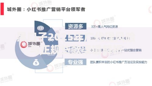 黑口子2025年广代理风险与正规贷款渠道解析