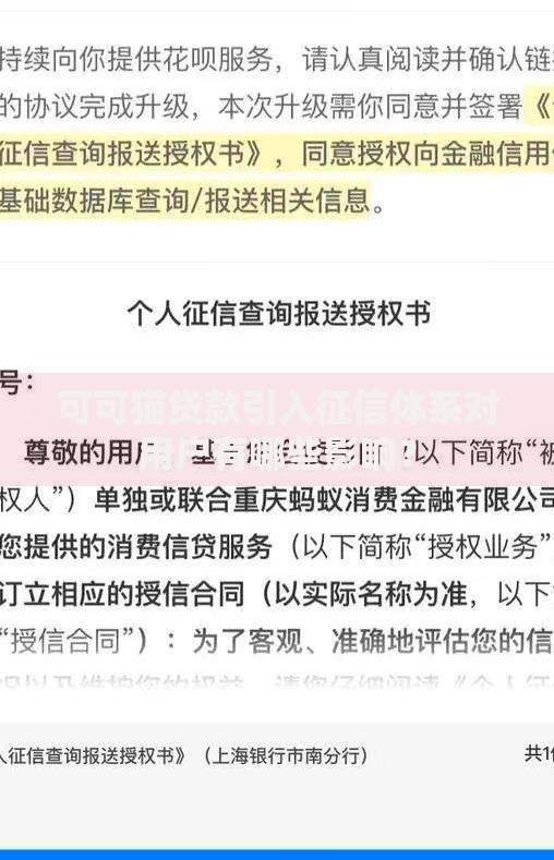 可可猫贷款引入征信体系对用户有哪些影响？