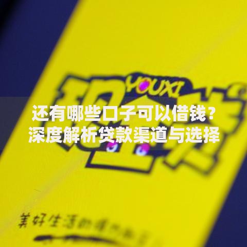 还有哪些口子可以借钱？深度解析贷款渠道与选择策略