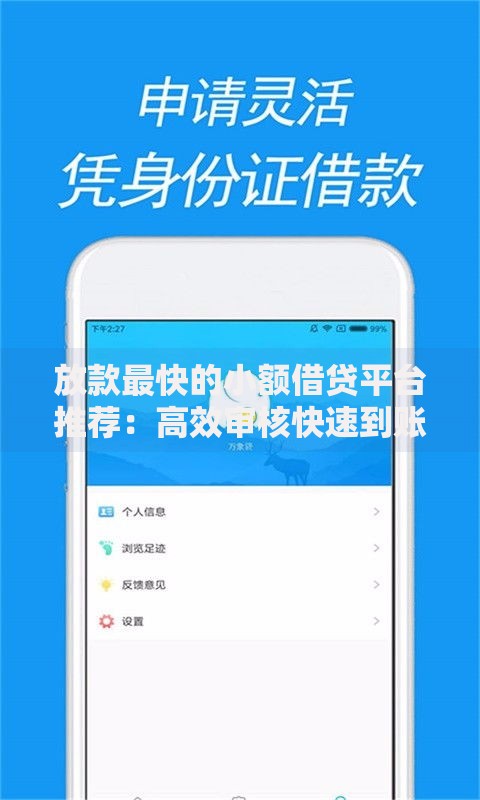 放款最快的小额借贷平台推荐：高效审核快速到账指南