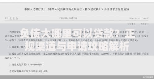 负债大哪里可以贷款？正规渠道与申请攻略解析