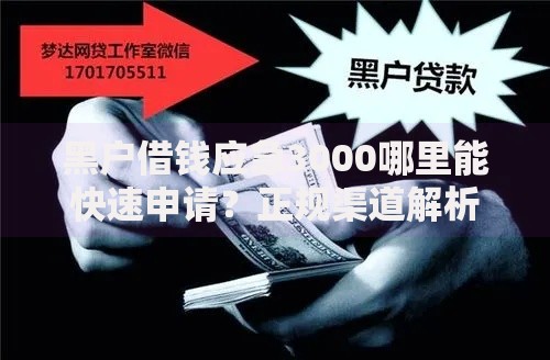 黑户借钱应急3000哪里能快速申请？正规渠道解析