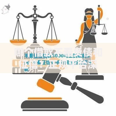 哪个借款不看负债和征信？正规平台深度解析