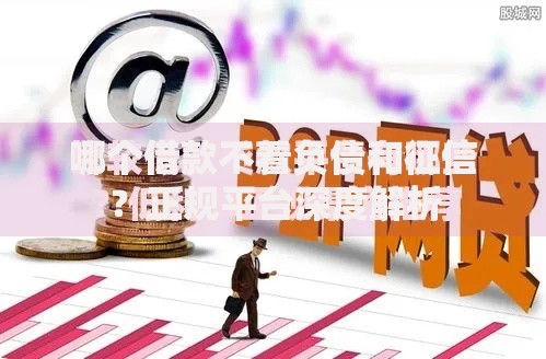 哪个借款不看负债和征信？正规平台深度解析