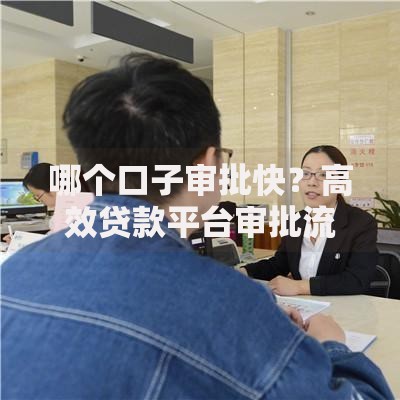 哪个口子审批快？高效贷款平台审批流程深度解析