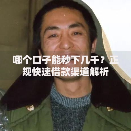 哪个口子能秒下几千？正规快速借款渠道解析