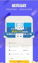 哪里有大口子借款APP？正规平台选择指南