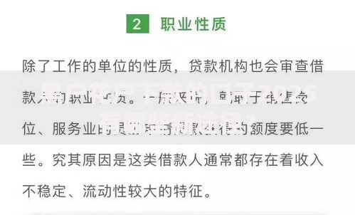黑户花户下款的口子2025有哪些新途径？