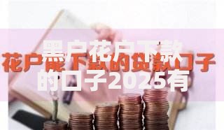 黑户花户下款的口子2025有哪些新途径？