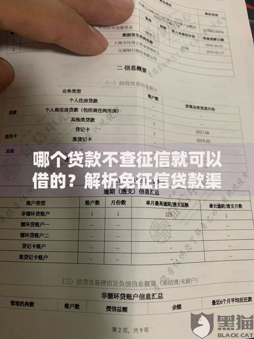 哪个贷款不查征信就可以借的？解析免征信贷款渠道与风险