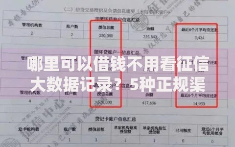 哪里可以借钱不用看征信大数据记录?5种正规渠道深度解析 哪里可以借钱不用看征信大数据记录?5种正规渠道深度解析