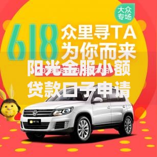 阳光金服小额贷款口子申请流程及条件解析