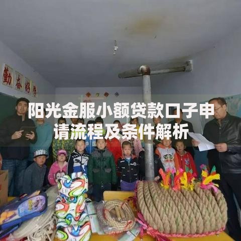 阳光金服小额贷款口子申请流程及条件解析