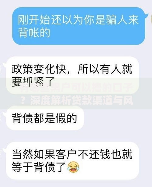 有哪些黑户可以撸的口子？深度解析贷款渠道与风险