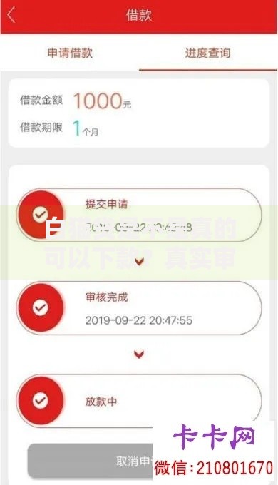 白猫贷是不是真的可以下款？真实审核机制与用户反馈解析