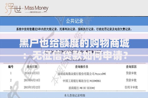 黑户也给额度的购物商城:无征信贷款如何申请? 黑户也给额度的购物商城:无征信贷款如何申请?