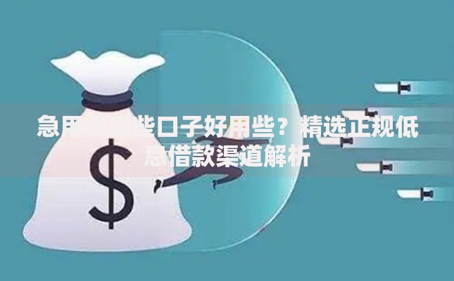 急用钱哪些口子好用些?精选正规低息借款渠道解析 急用钱哪些口子好用些?精选正规低息借款渠道解析