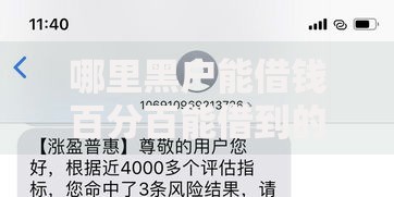 哪里黑户能借钱百分百能借到的？真实渠道与风险评估