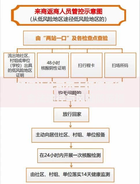 如何让公司不上征信系统？合法途径与风险防范指南