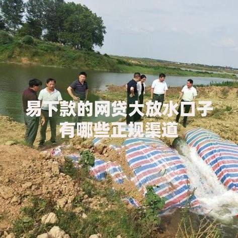 易下款的网贷大放水口子有哪些正规渠道 易下款的网贷大放水口子有哪些正规渠道