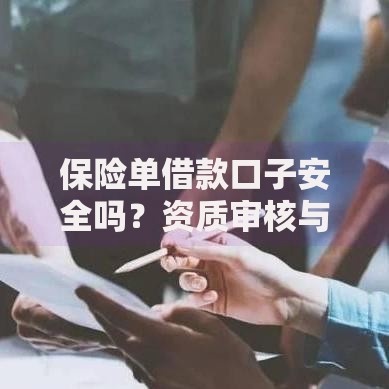保险单借款口子安全吗？资质审核与风控解析
