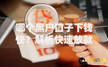哪个黑户口子下钱快？解析快速放款渠道与风险防范